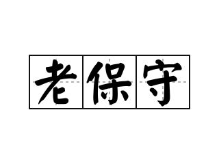 保守的意思|保守